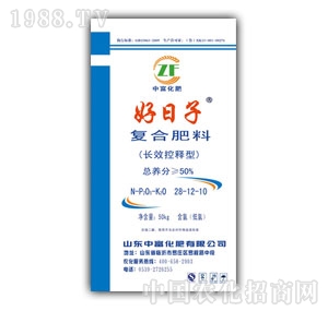 ������-50%��(f��)�Ϸ���