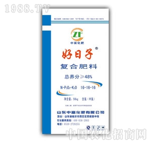 ������-48%��(f��)�Ϸ���