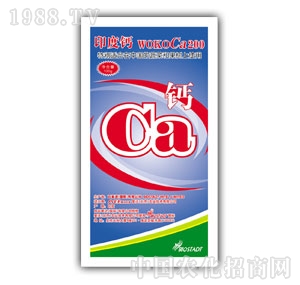 ��(��i)���r(n��ng)�I(y��)-ӡ���}