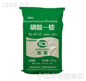 �|ʥ-����һ�@