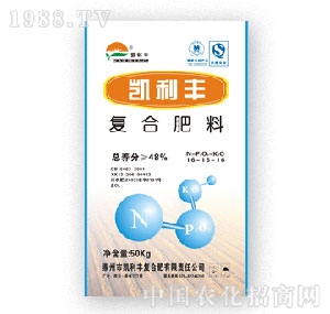 �P���Sͨ���͏ͺϷ�