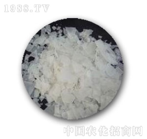 �к����W(xu��)-99�x��ĤƬ