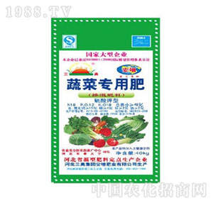 ���߼��F-�����