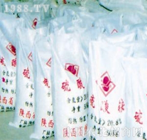 ꃽ�-�����@