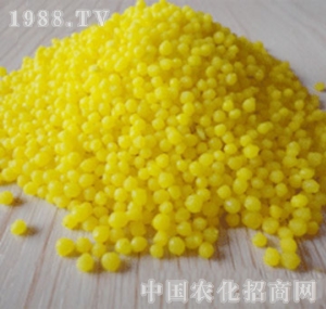 �Ĵ��r(n��ng)�Y�����Sɫ�w��