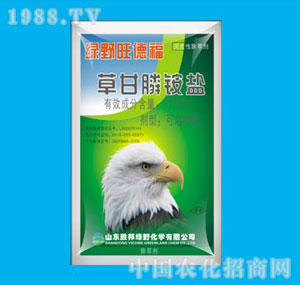 �ٰ�-77.7%���¸�