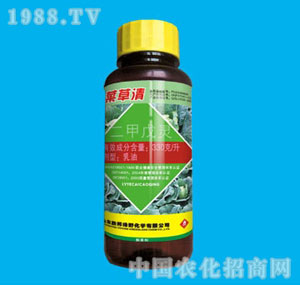 �ٰ�-�˲���