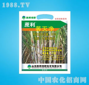 �ٰ�-80%����