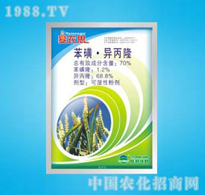 �ٰ�-���r(n��ng)˼