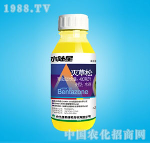 �ٰ�-ˮ���