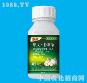 �ٰ�-35%���z