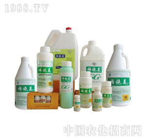 ��(gu��)��-���Ϲ����~���