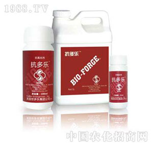 ������-������