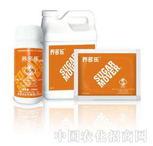 ������-�B(y��ng)����