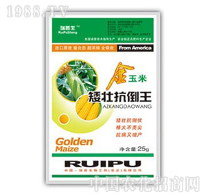 ������-�����װ��ѿ�����