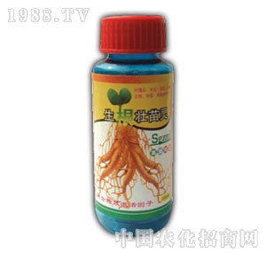 ��ԣ-���������`