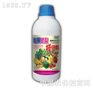 ��ԣ-���������ɫ��