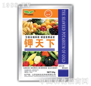 ��ԣ-�����