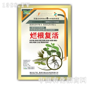 ��ԣ-�����ͻ�