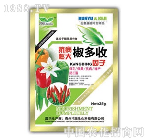 ��ԣ-������󽷶���