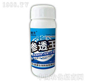 ������-�B͸��