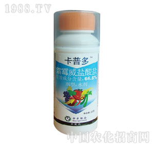 ���r(n��ng)(li��n)��-66.6%˪ù���}���}