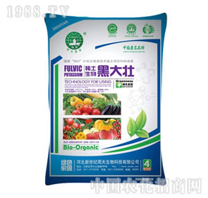 ����-ϡ���ڴ��