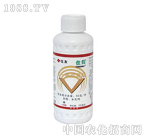 �����_(d��)-ס��