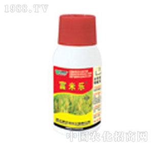 �����_(d��)-���ט�(l��)