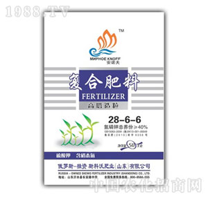 ����-���Z��28-6-6