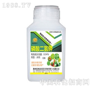 �f���޻�-��������