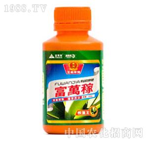 ���f��-�֏�(f��)��