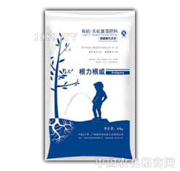 �·���-�����������������B(t��i)��