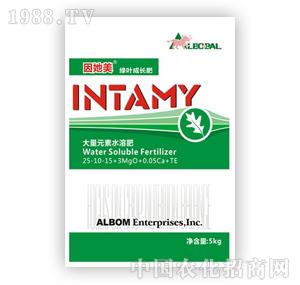 ����-������-�G�~���L(zh��ng)��