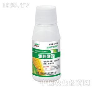 ���Z��-���׻�¡