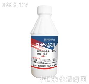 ���Z��-�R������