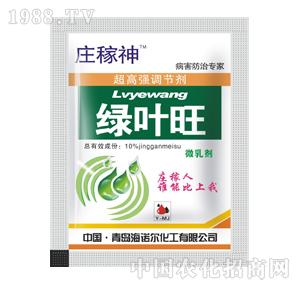 ���Z��-�G�~���f����