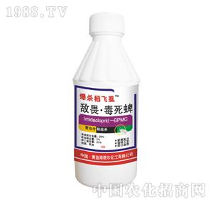 ���Z��-�������wʭ