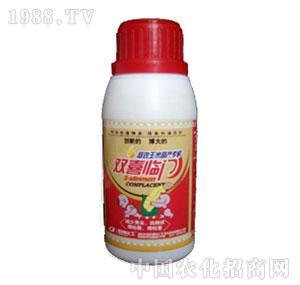 �²�����-�pϲ�R�T