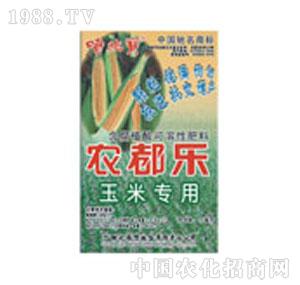 ��ʩ��-�r(n��ng)�������׌���