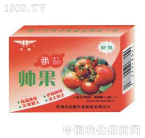 ���v����-���ю���