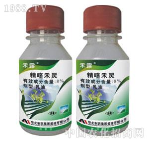 ���Z-��¶��8%��୺��`����-ƿ��