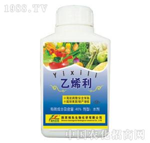 ��(chu��ng)������-��ϩ��