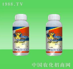 �G������-20%����������ϵ��