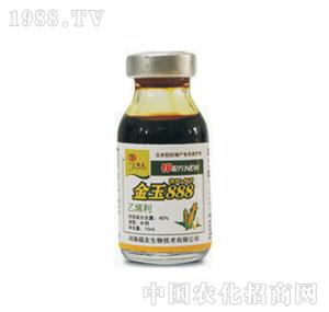 ����-����888