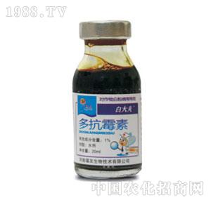 ����-�״��