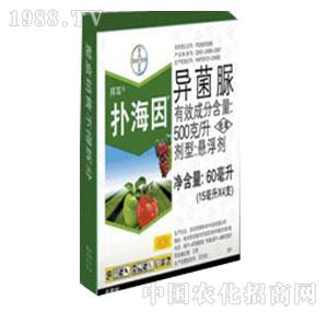 �V�|���-�亣�򣨄���-��(gu��)�ݶ�